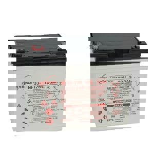 EnerSys Genesis NP33-12R 12V 33Ah